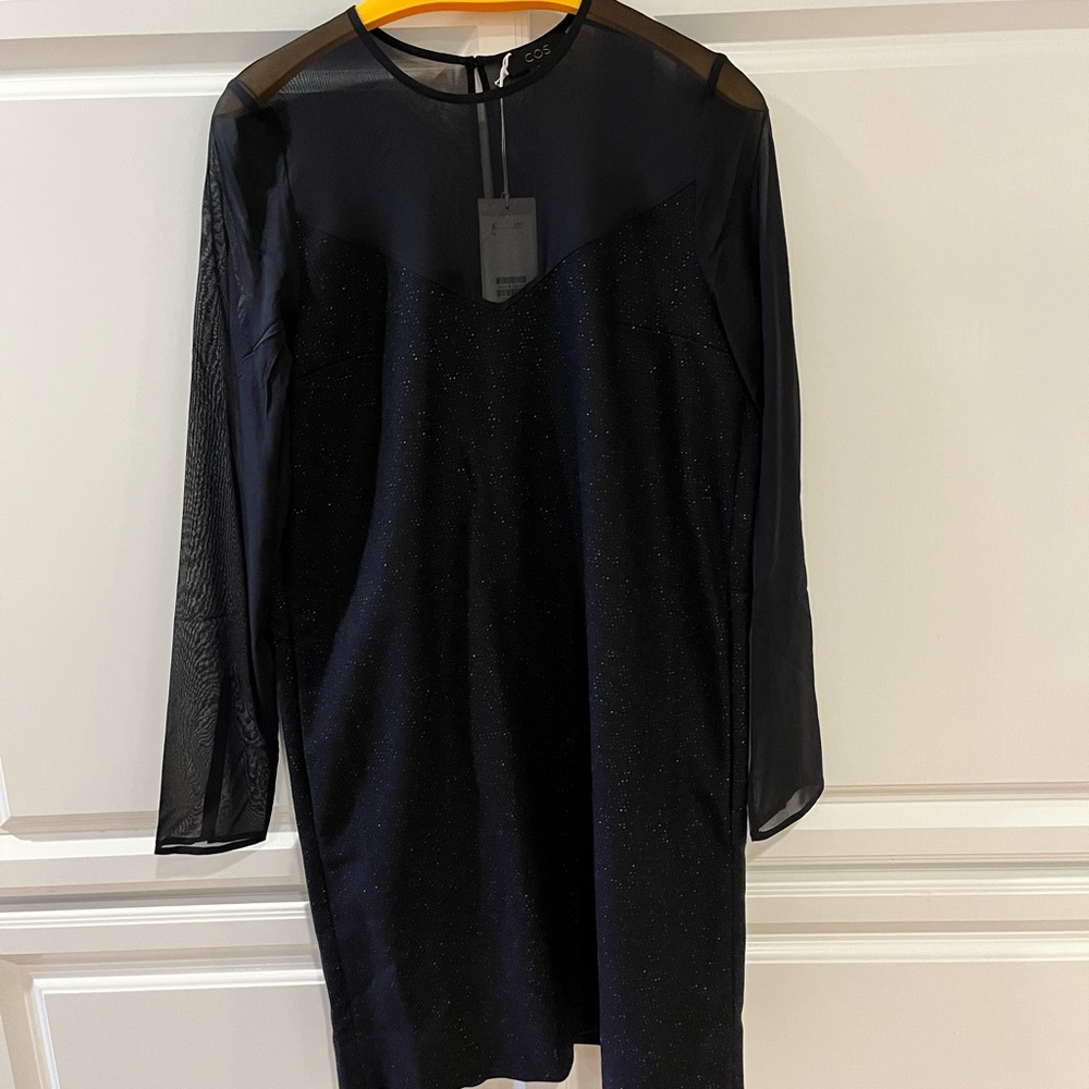 COS Women wool&silk dress